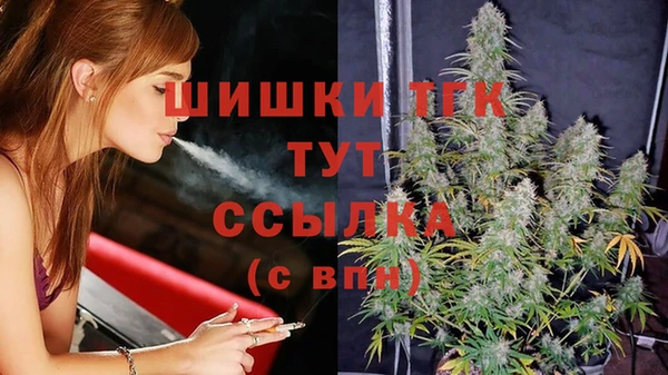 сатива Верея