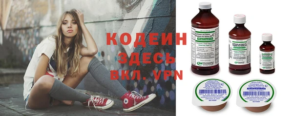 сатива Верея