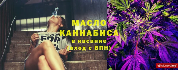 сатива Верея