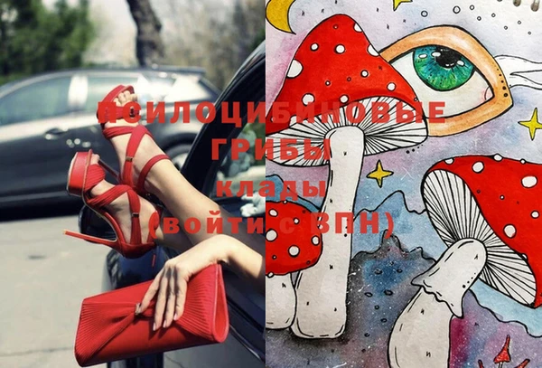 mdma Бородино