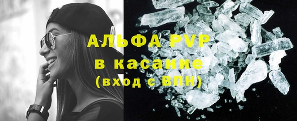 сатива Верея