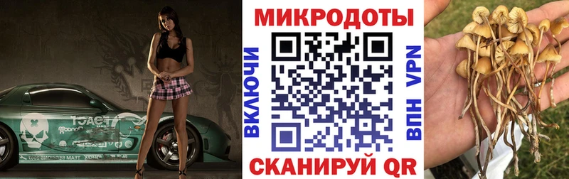 omg зеркало  Волчанск  Псилоцибиновые грибы Psilocybine cubensis 